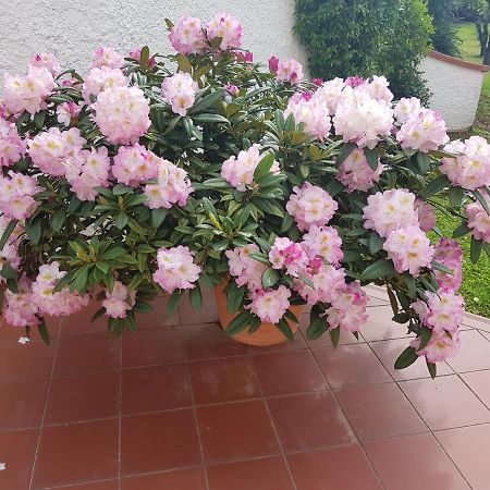 Casa Vittoria Villa Corsanico-Bargecchia ภายนอก รูปภาพ