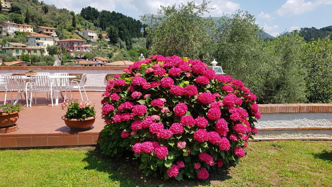 Casa Vittoria Villa Corsanico-Bargecchia ภายนอก รูปภาพ