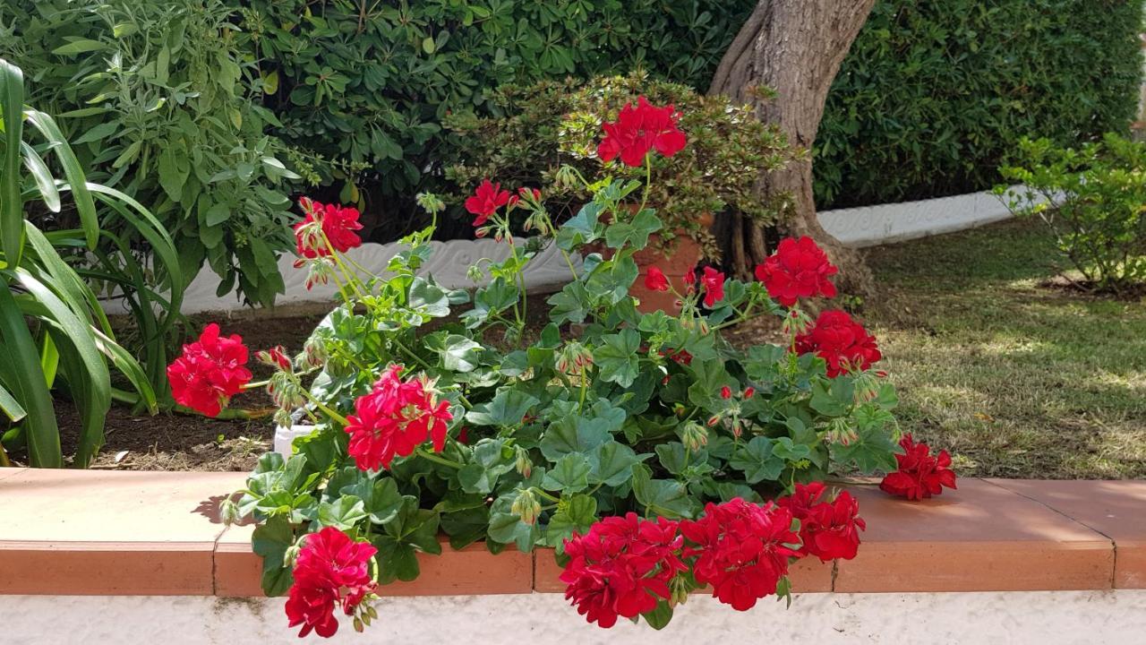 Casa Vittoria Villa Corsanico-Bargecchia ภายนอก รูปภาพ