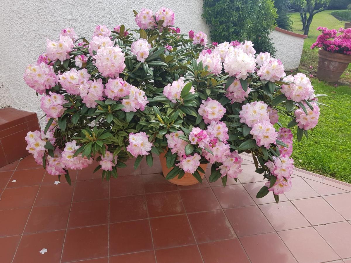 Casa Vittoria Villa Corsanico-Bargecchia ภายนอก รูปภาพ